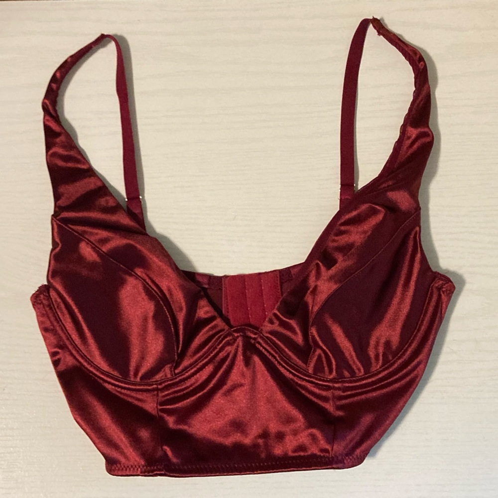 Urban Outfitters Red Silk Bustier Corset Crop Top!